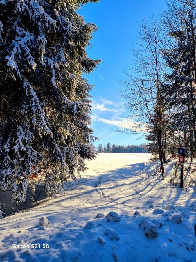 Ferienhaeuser Olbernhau Erzgebirge Eksteriør bilde
