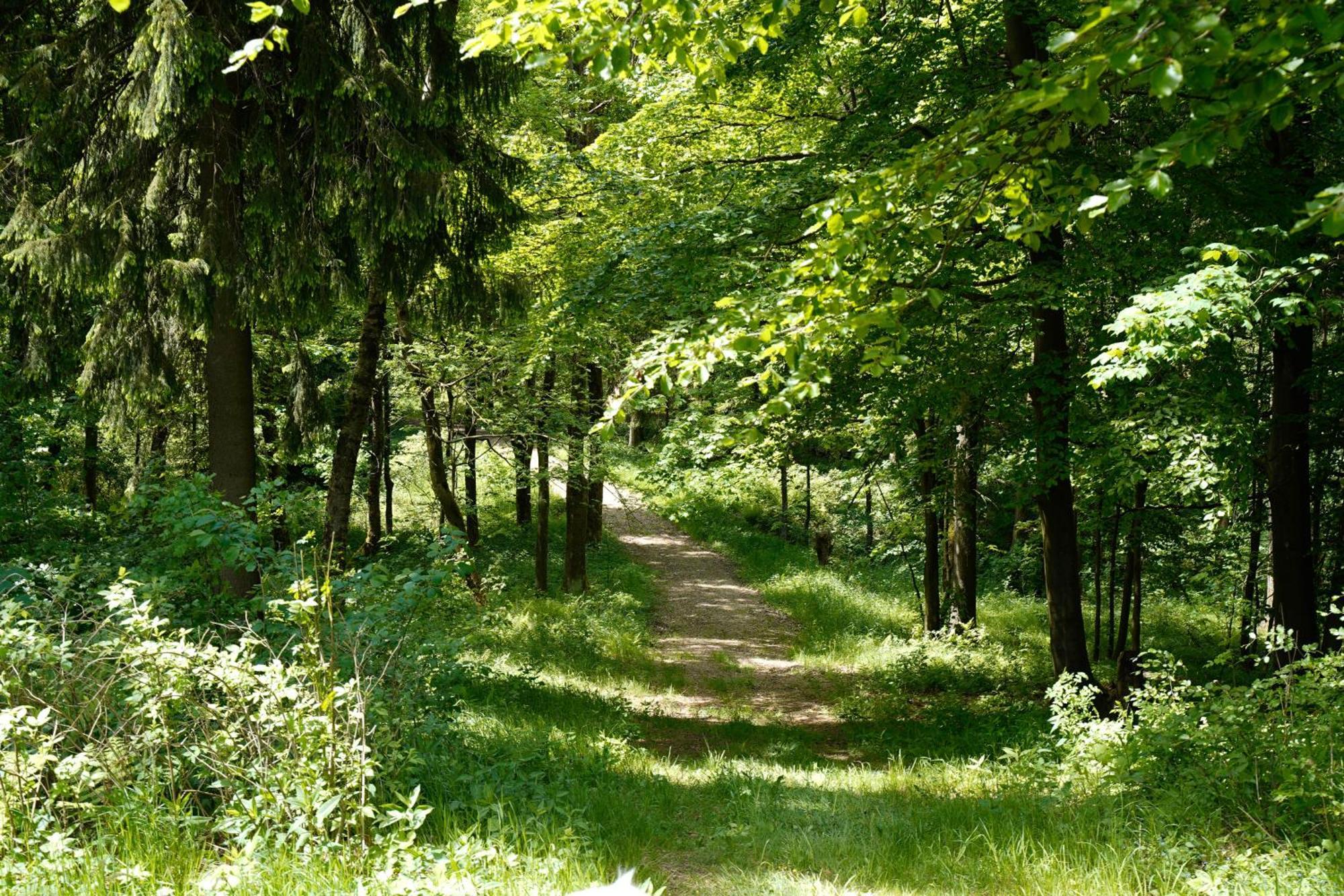 Ferienhaeuser Olbernhau Erzgebirge Eksteriør bilde